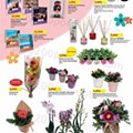auchan dia da mulher 25 fevereiro a 8 março p4.jpg